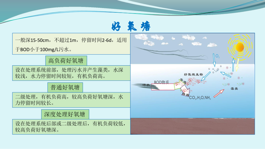 稳定塘和污水的土地处理.pptx_第3页