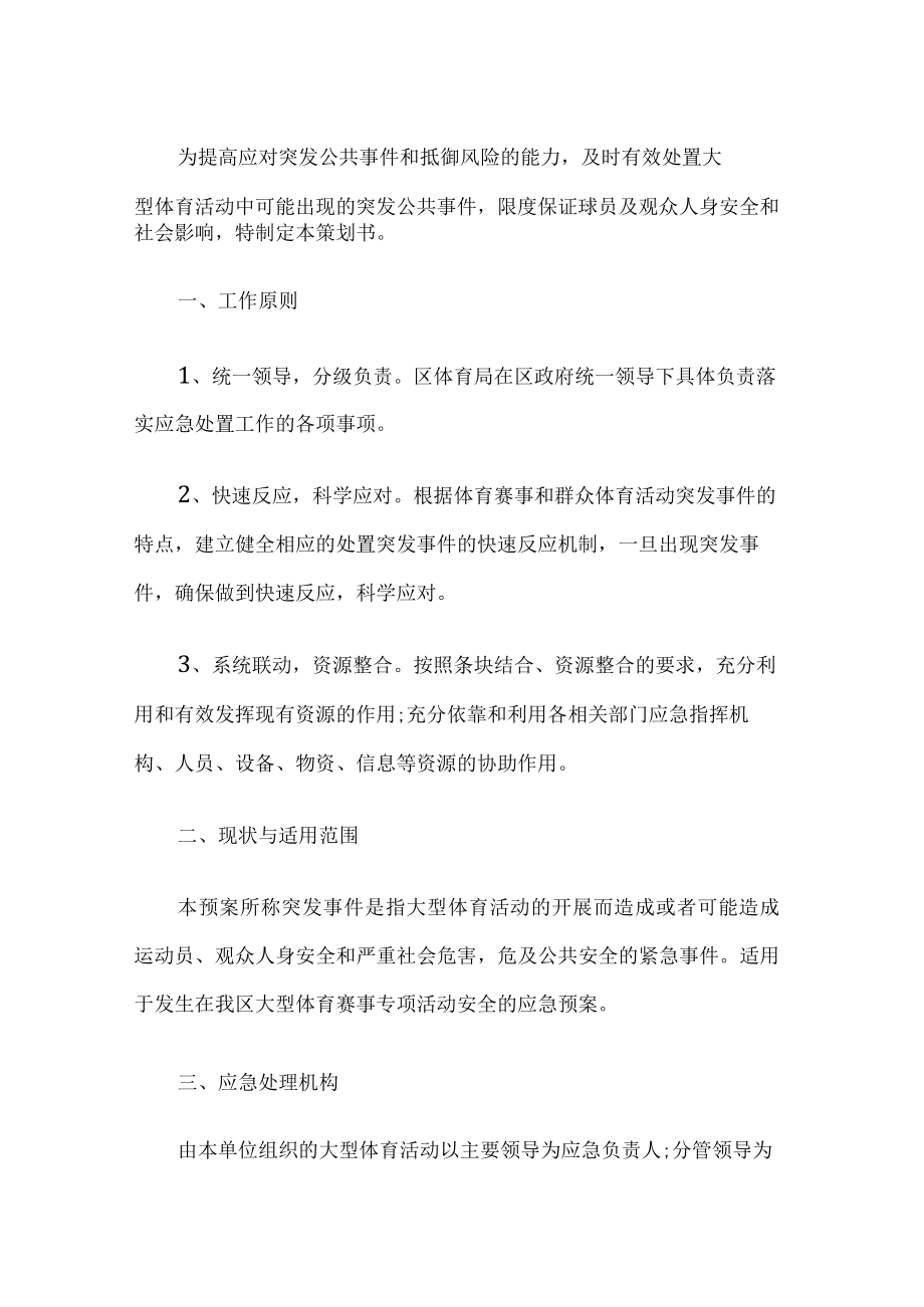 大型体育活动应急预案.docx_第1页