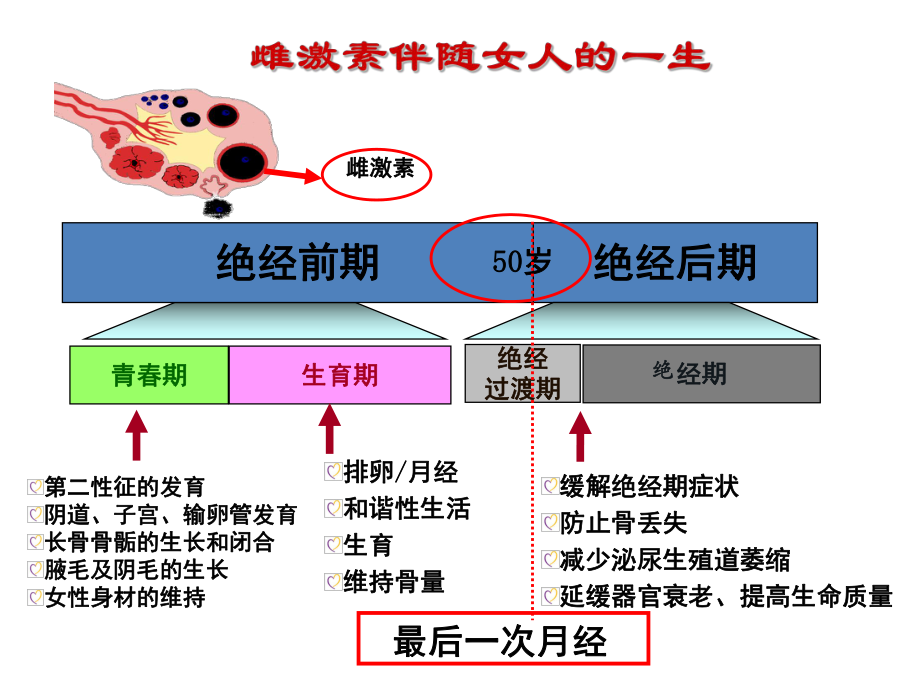 异常子宫出血PPT医学课件.pptx_第2页