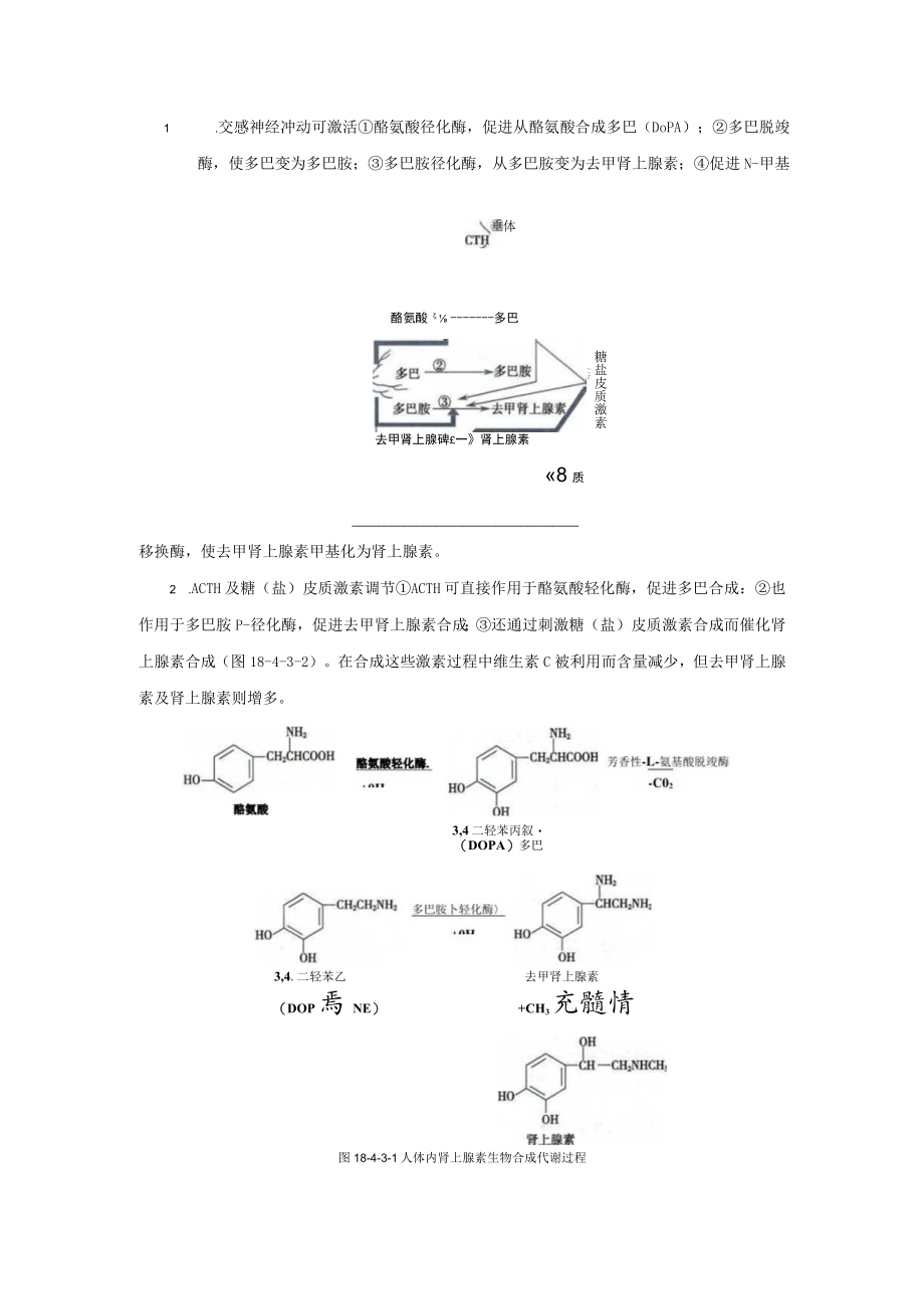 内分泌科嗜锯细胞瘤和副神经节瘤诊疗规范2023版.docx_第2页