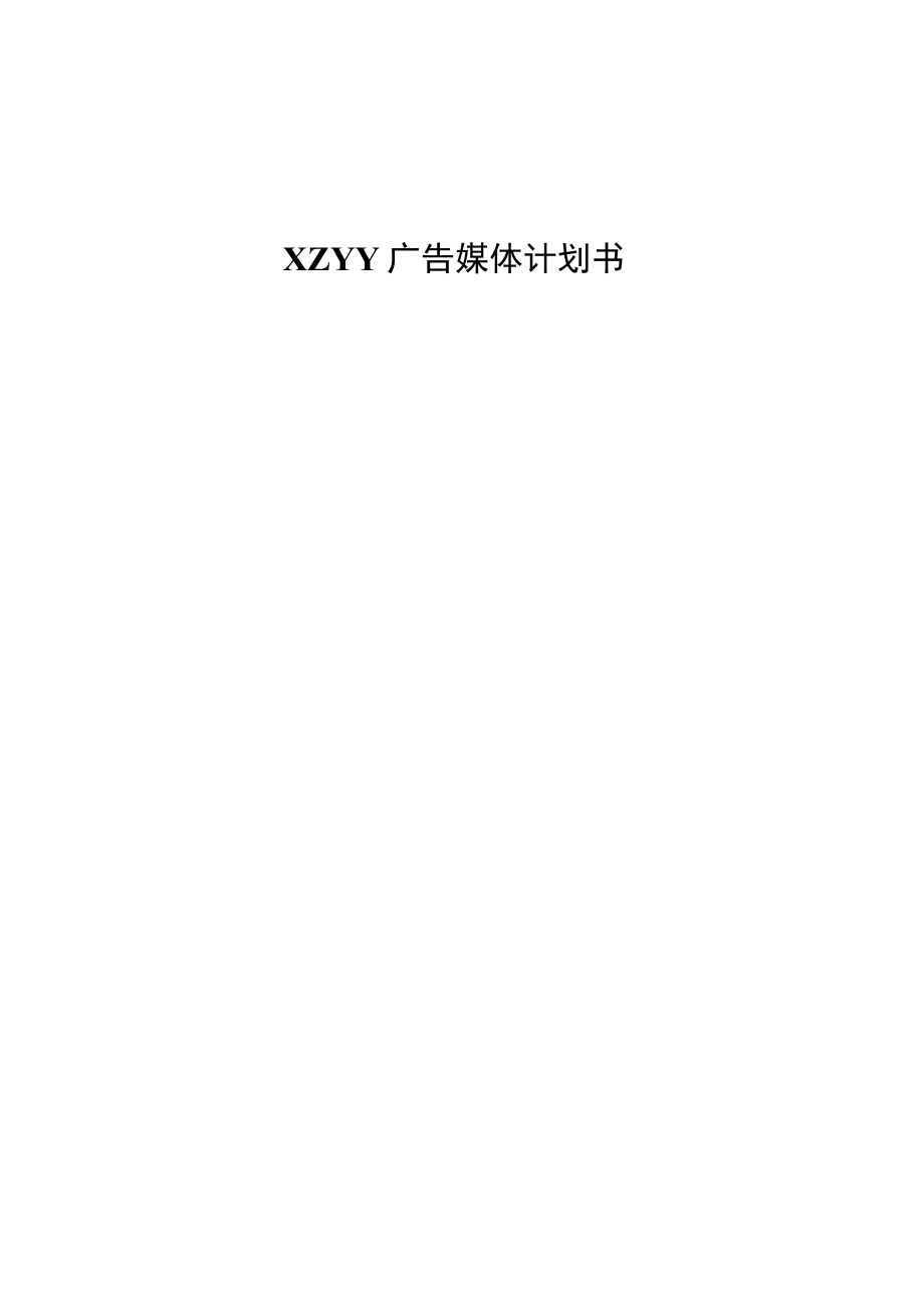 集团品牌公司广告媒体计划书.docx_第1页