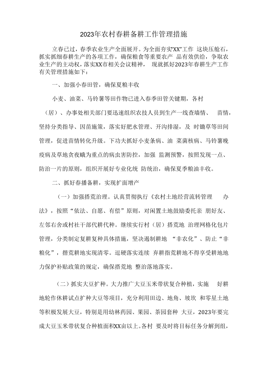 2023年春耕备耕专项工作管理措施 （合计2份）.docx_第3页