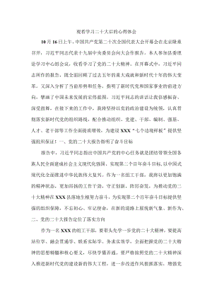 观看学习二十大后的个人心得体会.docx