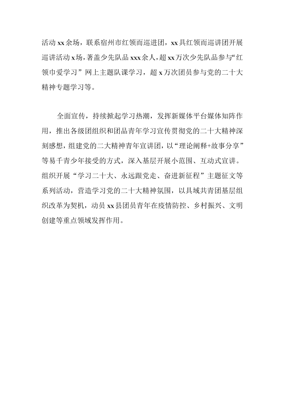 二十大学习工作总结.docx_第2页