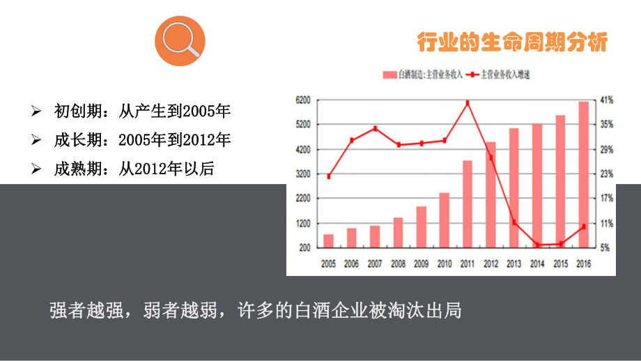 五粮液财务分析.pptx_第3页