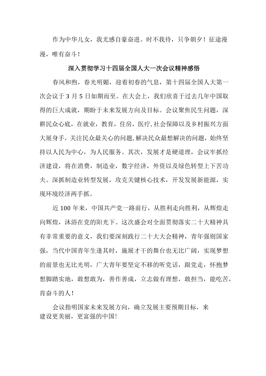 公安派出所深入贯彻学习十四届全国人大一次会议心得体会感悟（合编4份）.docx_第2页