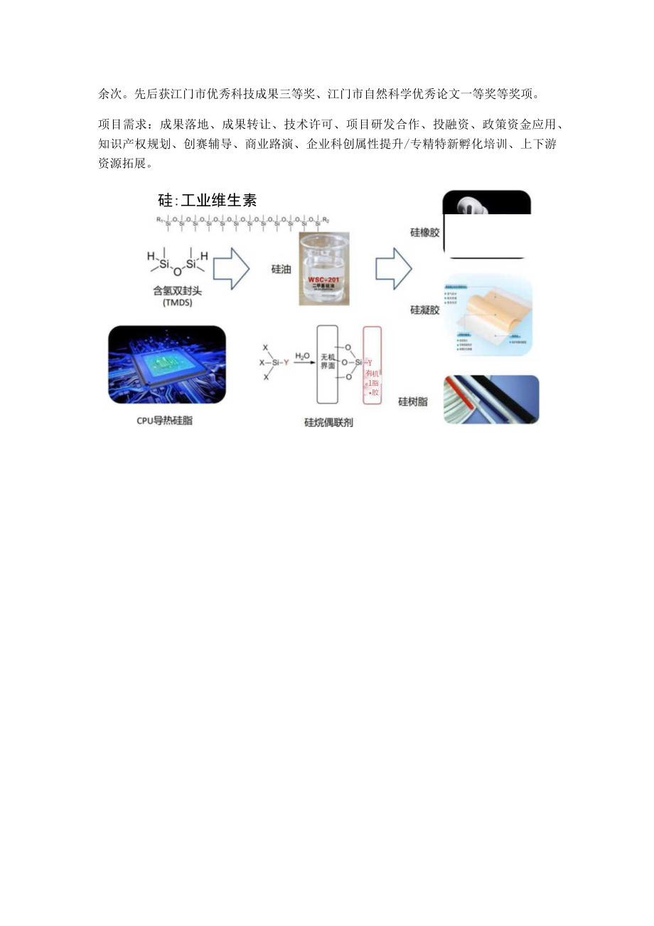 硅氢加成技术及新型有机硅化合物的合成与应用.docx_第2页