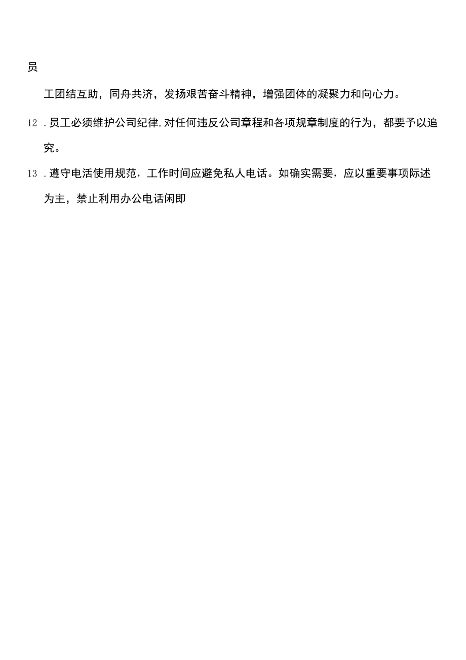 公司规章制度.docx_第2页