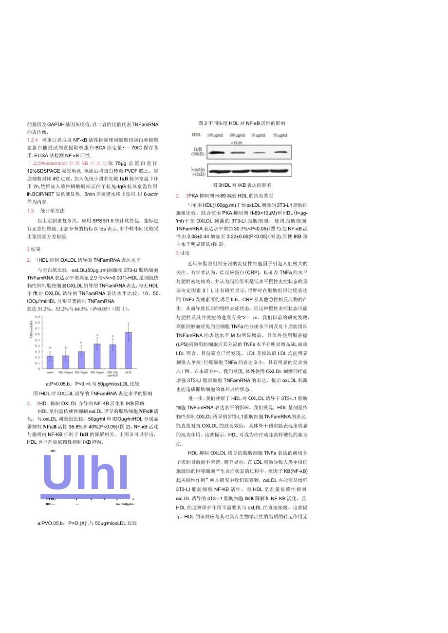 高密度脂蛋白对氧化型低密度脂蛋白刺激下脂肪细胞TNFα表达的影响.docx_第2页