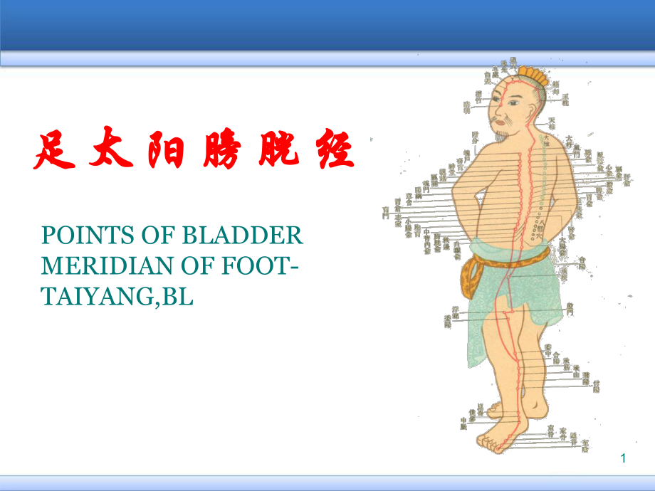 足太阳膀胱经医学PPT课件.ppt_第1页