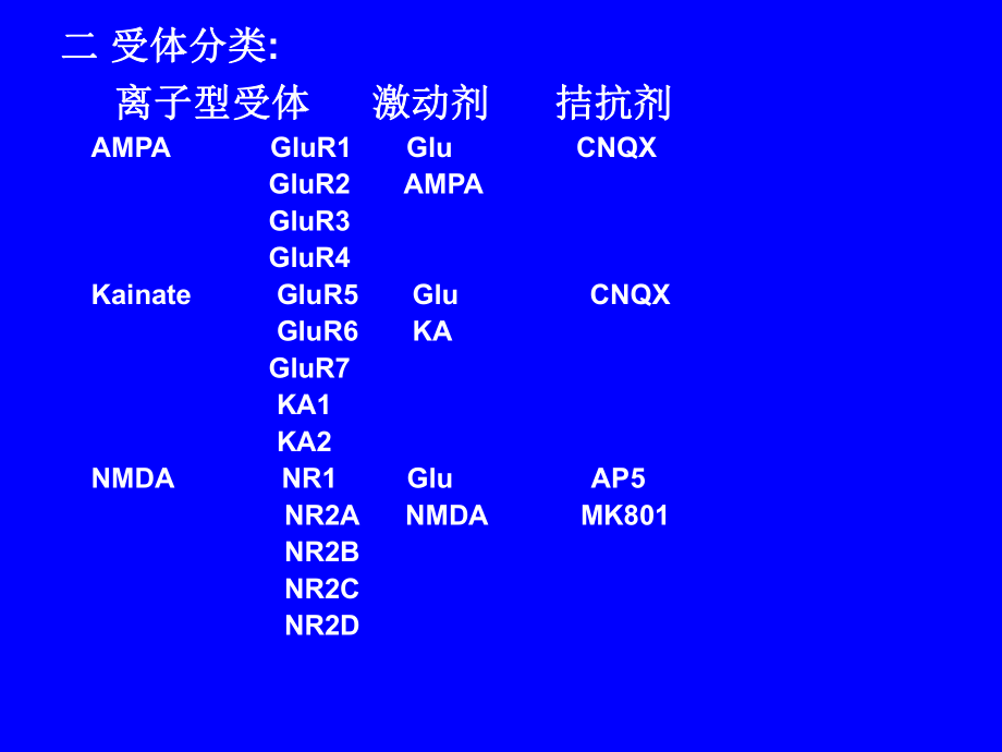 谷氨酸受体神经生物学.ppt_第2页