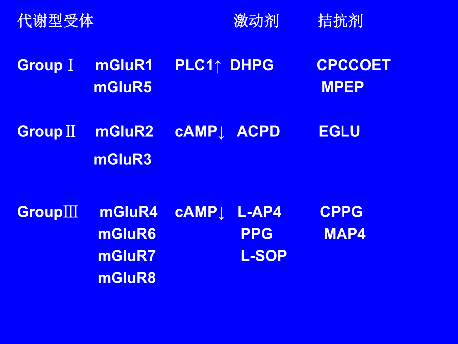 谷氨酸受体神经生物学.ppt_第3页