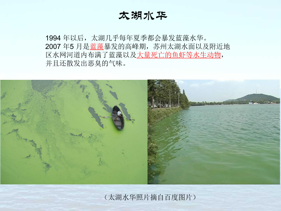 鱼类生物学资料.ppt_第2页