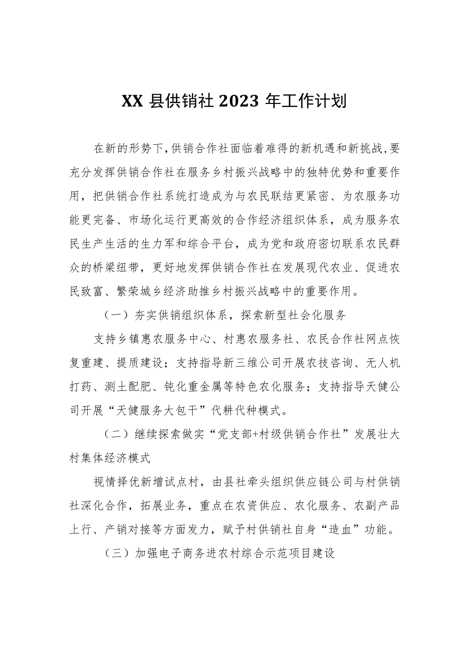 XX县供销社2023年工作计划.docx_第1页