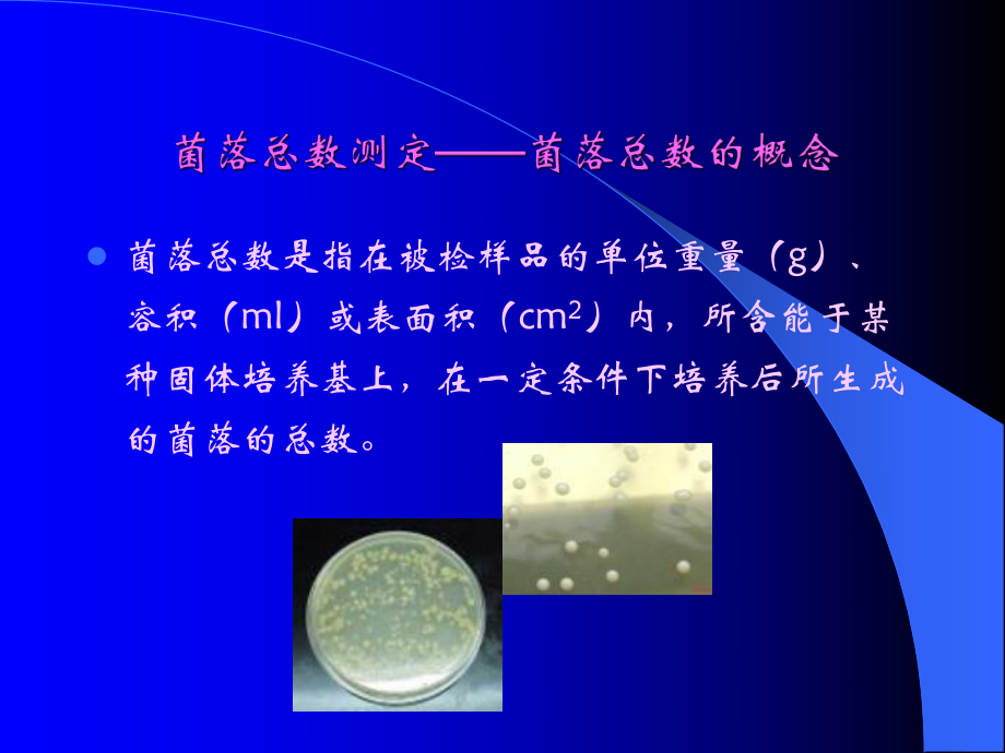 食品微生物检验方法.ppt_第3页