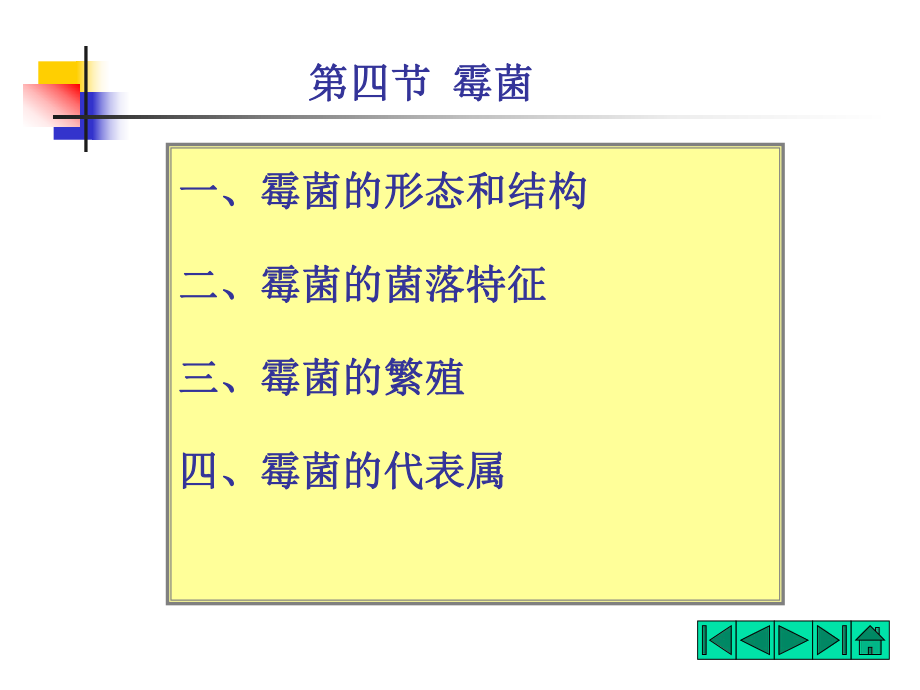 食品微生物—霉菌...ppt_第1页