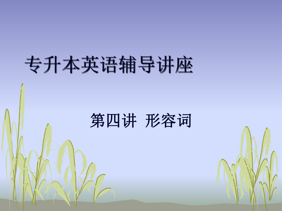 专升本英语辅导讲座04.ppt_第1页