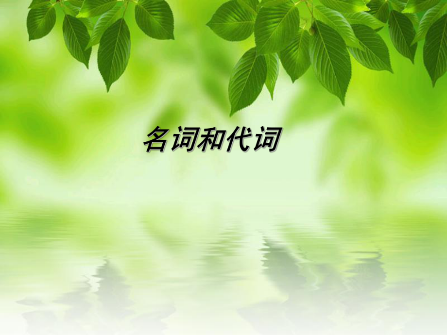 专升本名词和代词.ppt_第1页