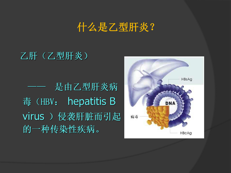 乙肝基础知识.ppt_第3页