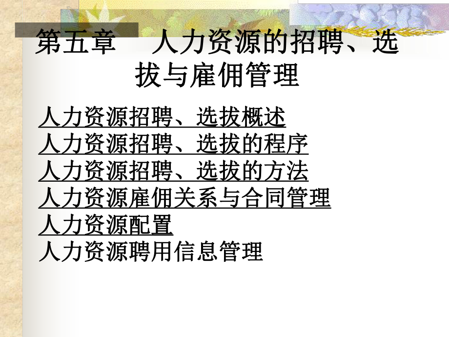 人力资源招聘.ppt_第1页