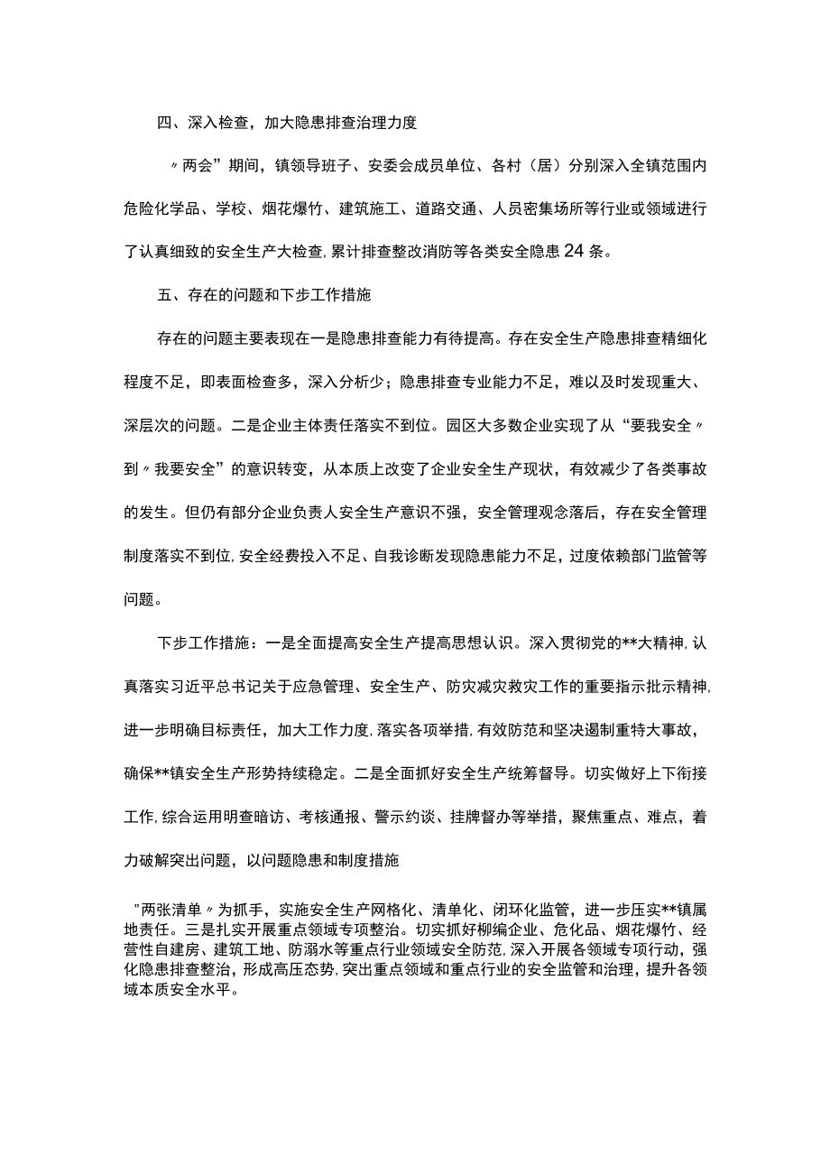 镇两会期间安全生产工作总结.docx_第2页