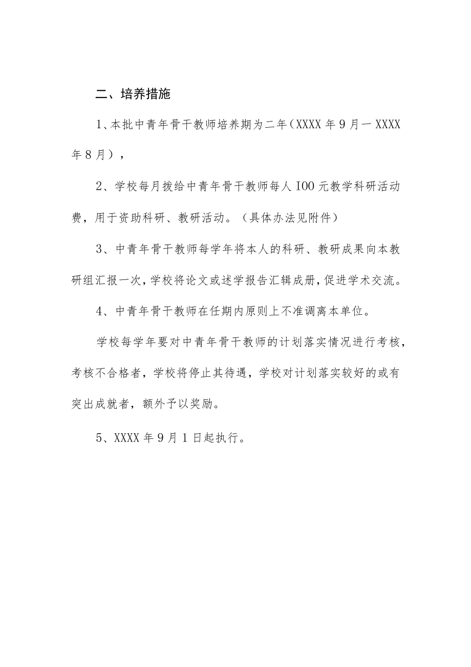 中青年骨干教师的培养计划.docx_第2页