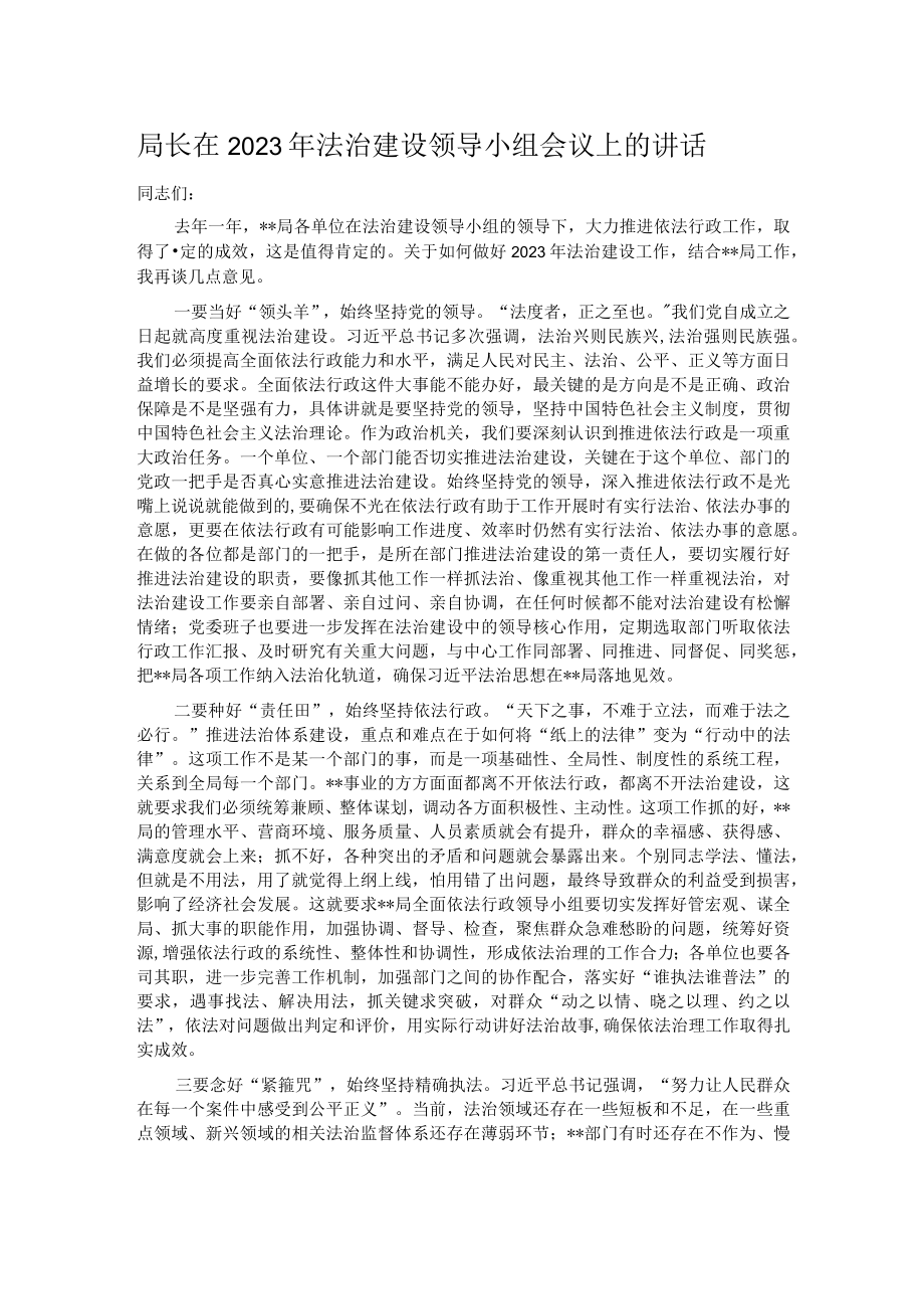 局长在2023年法治建设领导小组会议上的讲话.docx_第1页