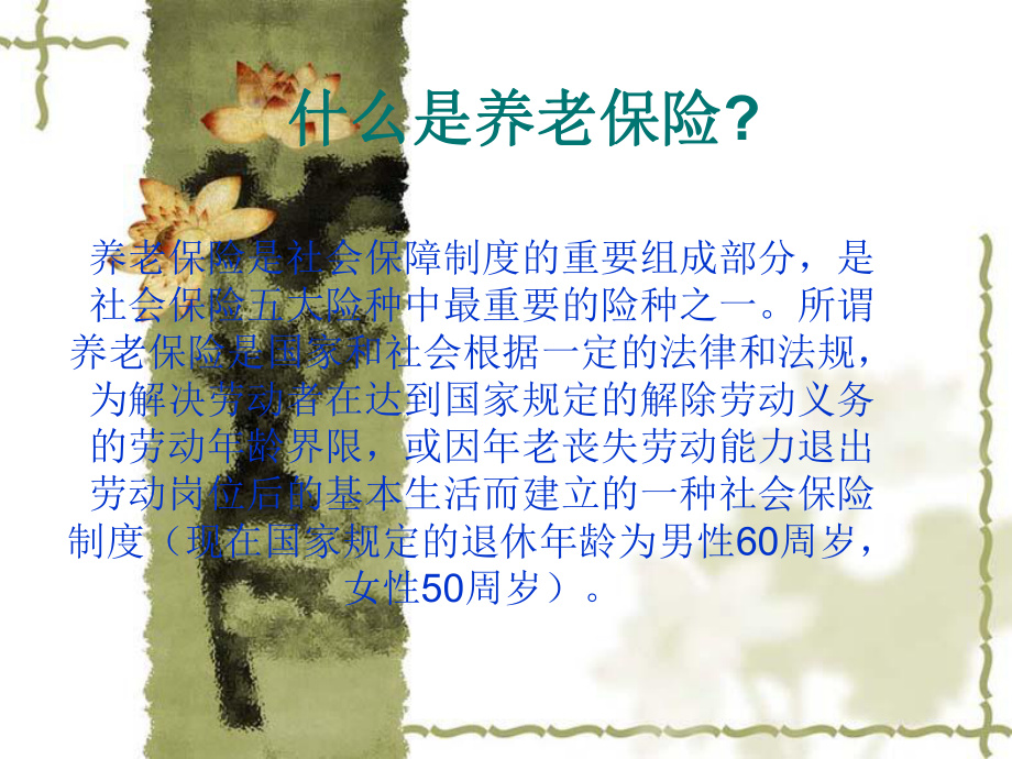 养老保险政策讲解.ppt_第1页