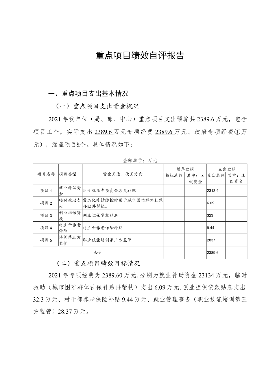 重点项目绩效自评报告.docx_第1页