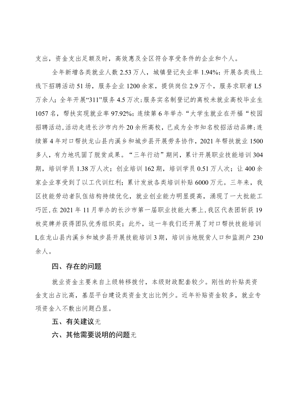 重点项目绩效自评报告.docx_第3页