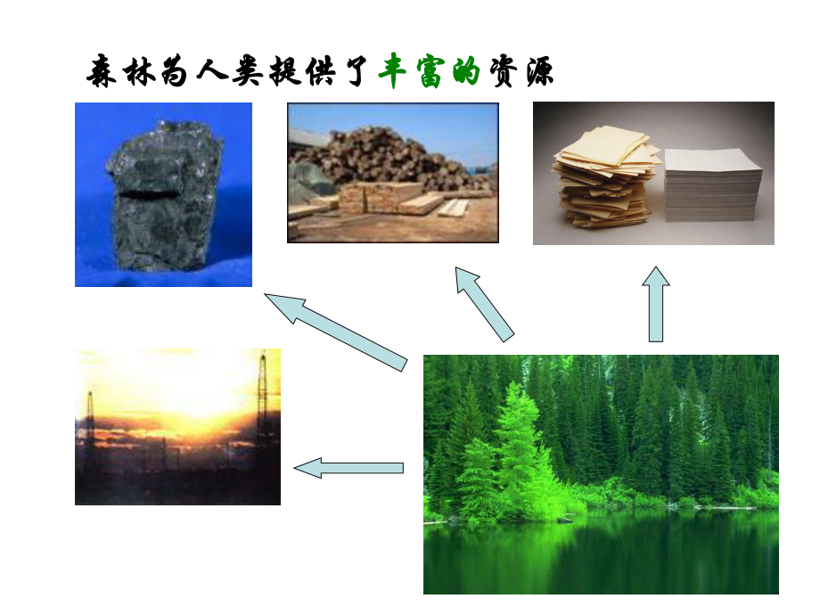 第三节绿化我们共同的行动精品教育.ppt_第3页