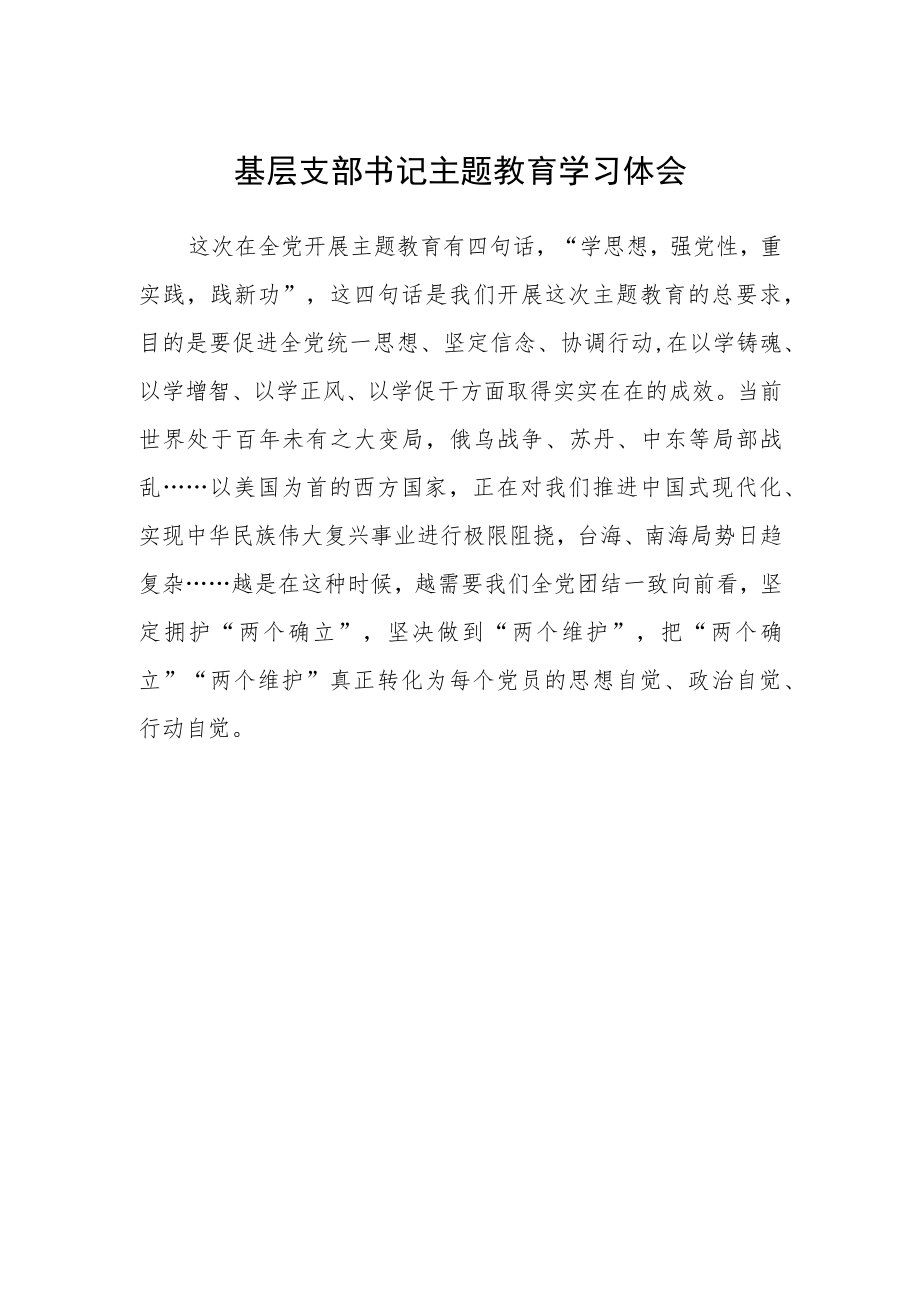 基层支部书记主题教育学习体会.docx_第1页