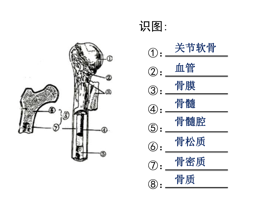 第二节运动的形成第二课时精品教育.ppt_第3页