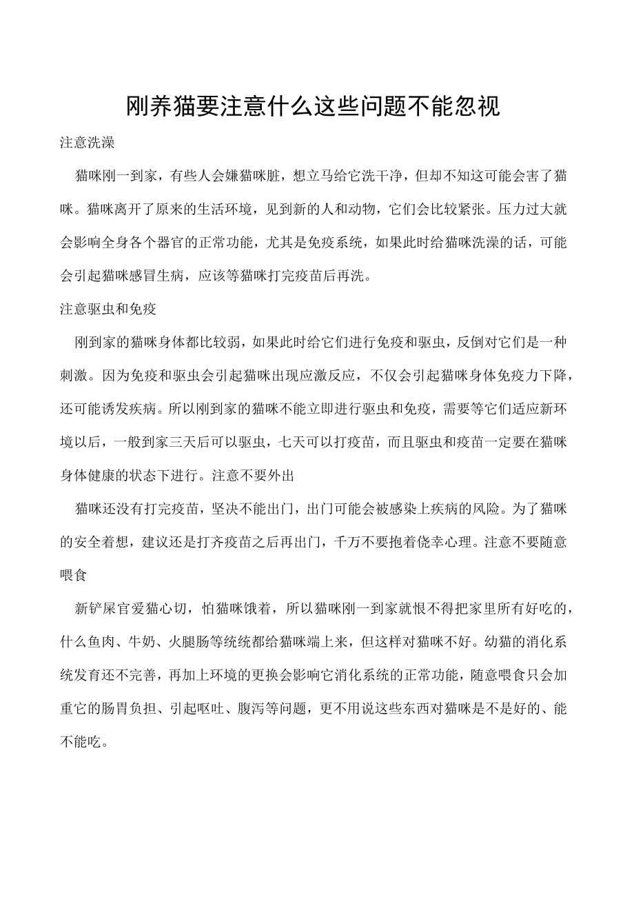 刚养猫要注意什么 这些问题不能忽视.docx_第1页