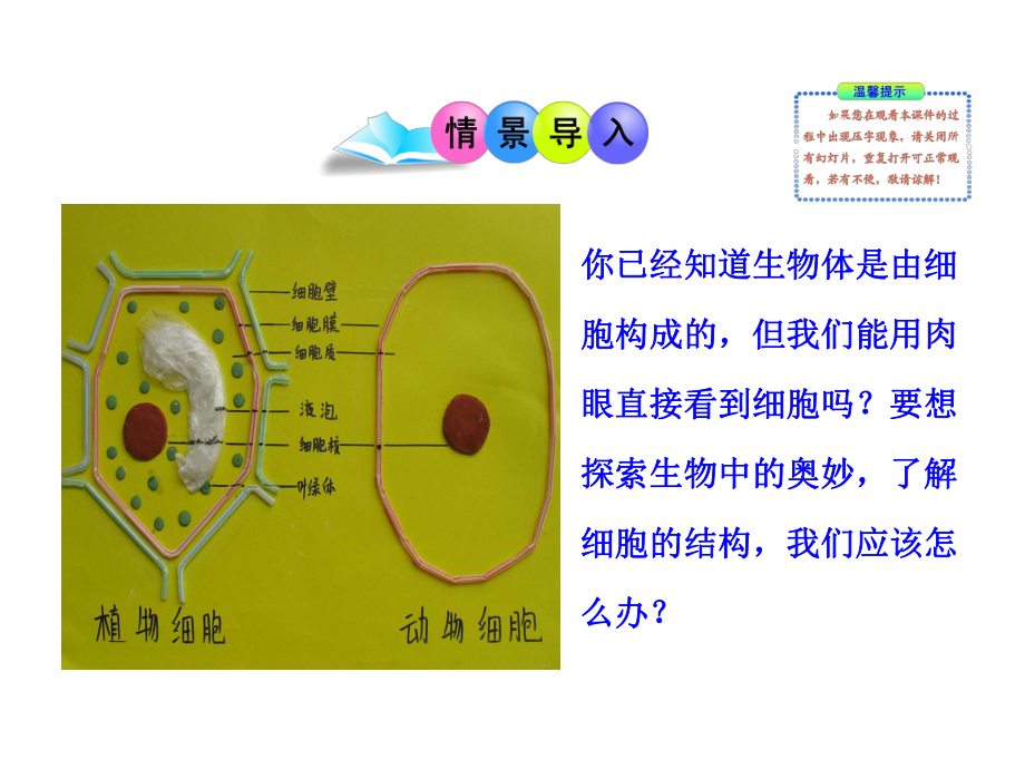 第二单元第一章第一节练习使用显微镜精品教育.ppt_第2页