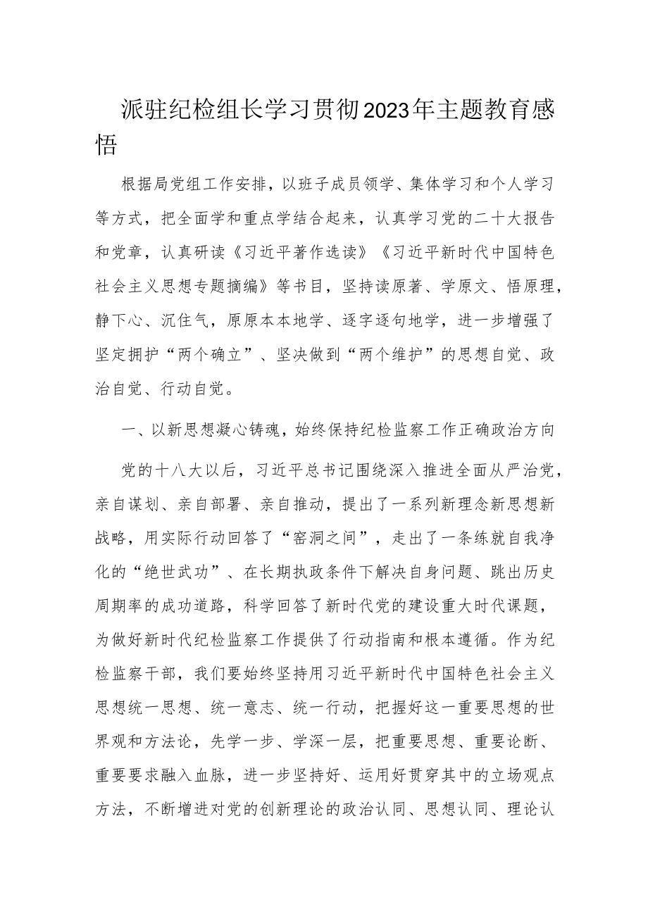 派驻纪检组长学习贯彻2023年主题教育感悟.docx_第1页