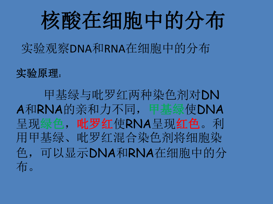 第三节遗传信息的携带者——核酸精品教育.ppt_第2页