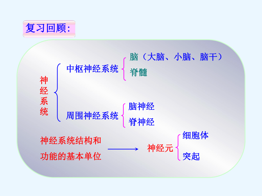 第三节神经调节的基本方式吕中肖鹏精品教育.ppt_第1页