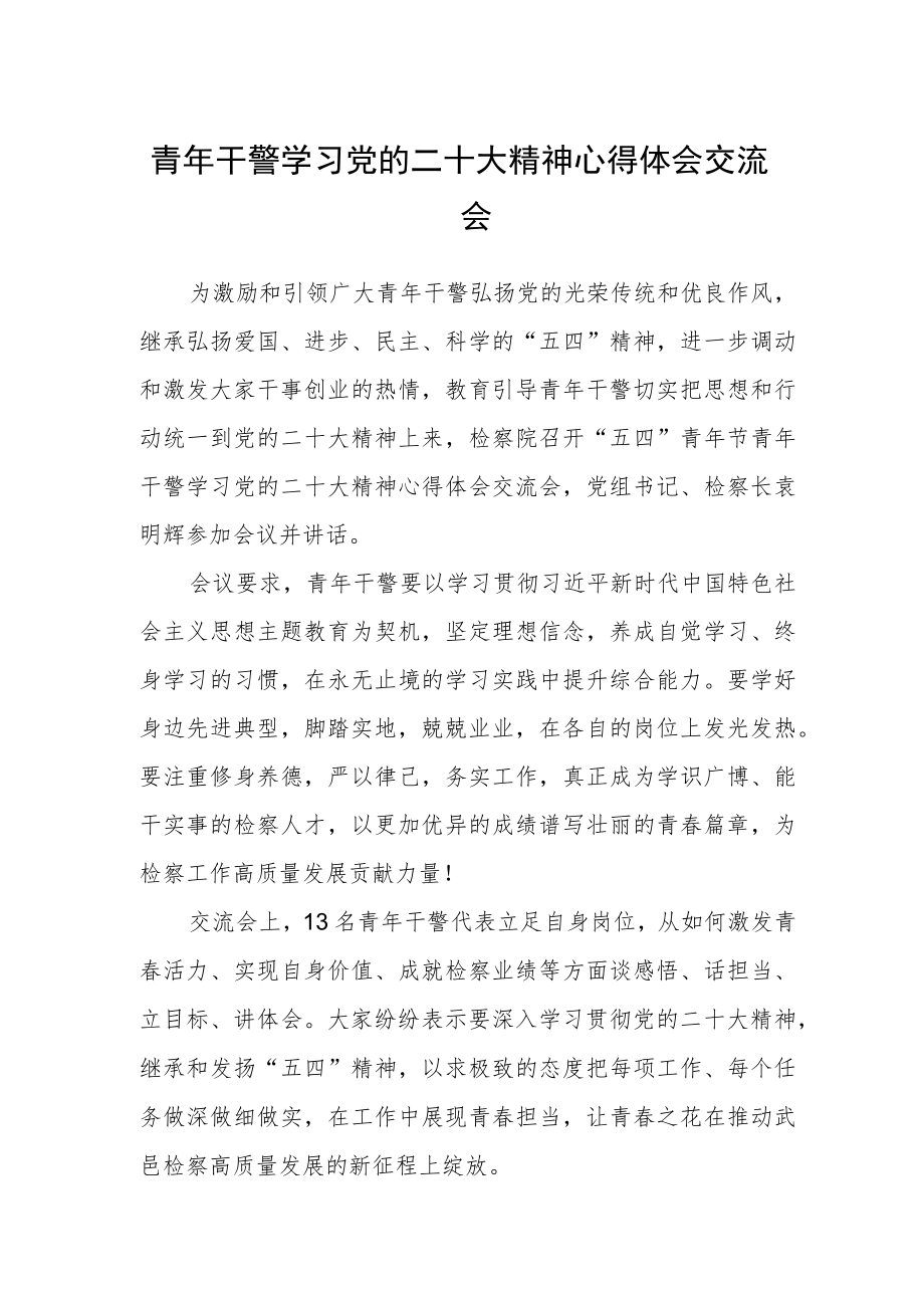 青年干警学习党的二十大精神心得体会交流会.docx_第1页