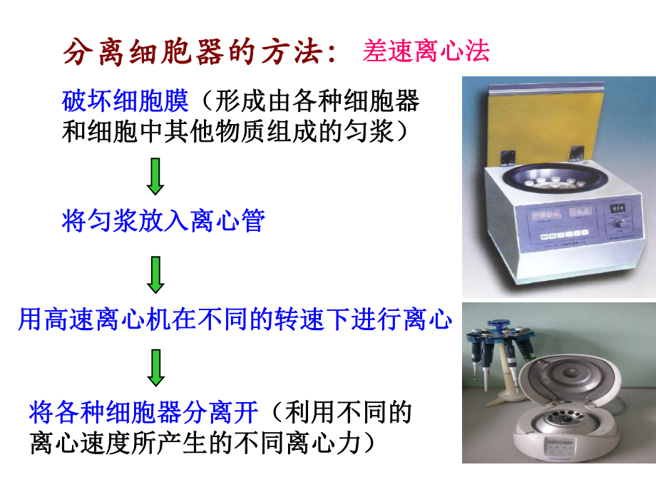 第二节细胞器精品教育.ppt_第3页