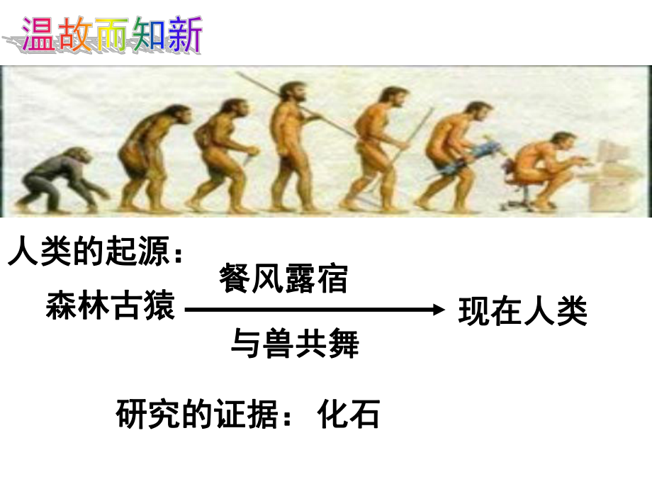 １０第一节　地球上生命的起源精品教育.ppt_第3页