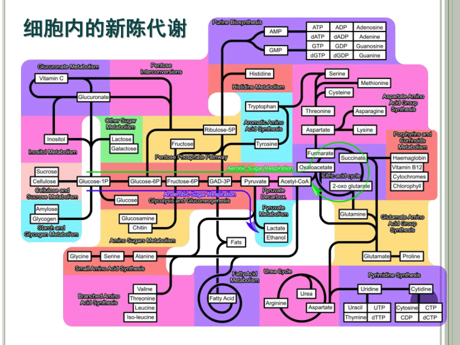 第四章第1节ATP141030精品教育.ppt_第1页