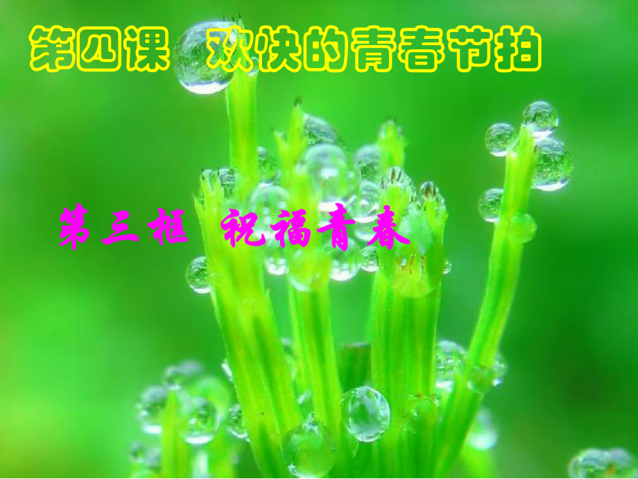 第四课第三框祝福青精品教育.ppt_第1页