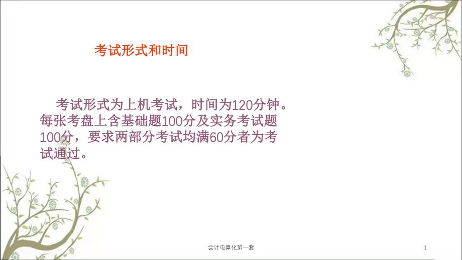 会计电算化第一套课件.ppt_第1页