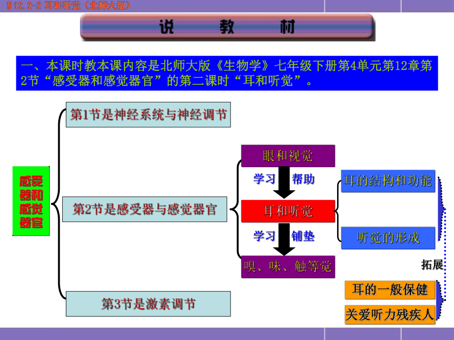 耳与听觉说课课件精品教育.ppt_第3页