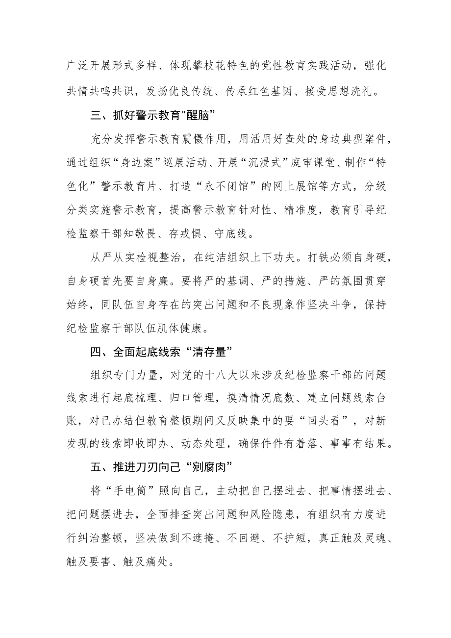 2023纪检监察干部教育整顿读书报告（精品5篇）.docx_第2页