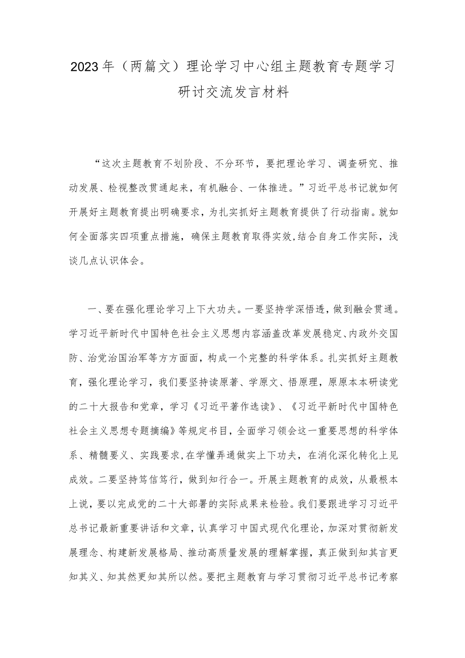 2023年（两篇文）理论学习中心组主题教育专题学习研讨交流发言材料.docx_第1页