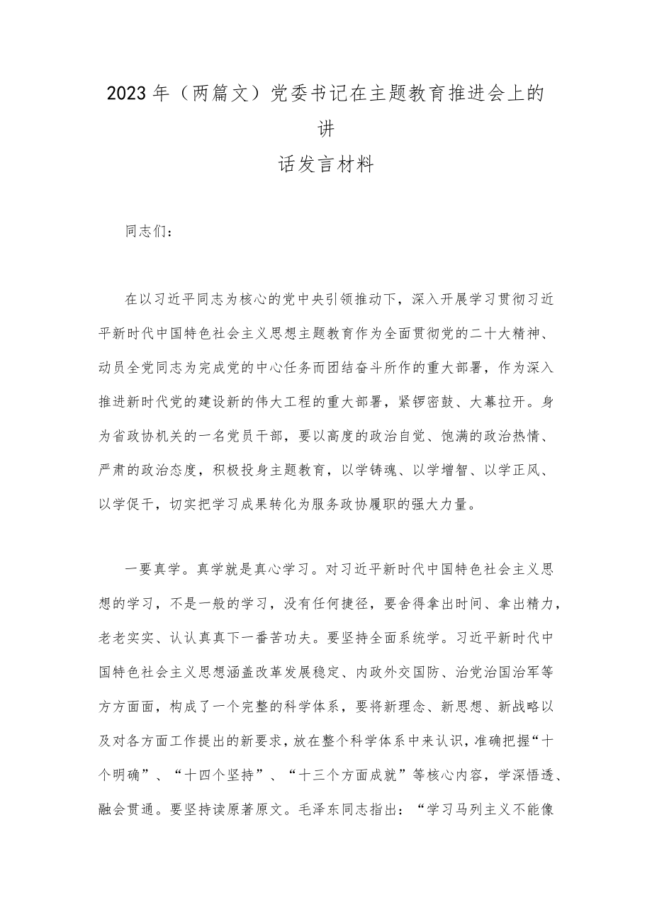 2023年（两篇文）党委书记在主题教育推进会上的讲话发言材料.docx_第1页