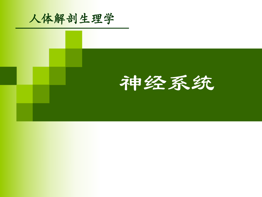 神经系统的结构.ppt_第1页