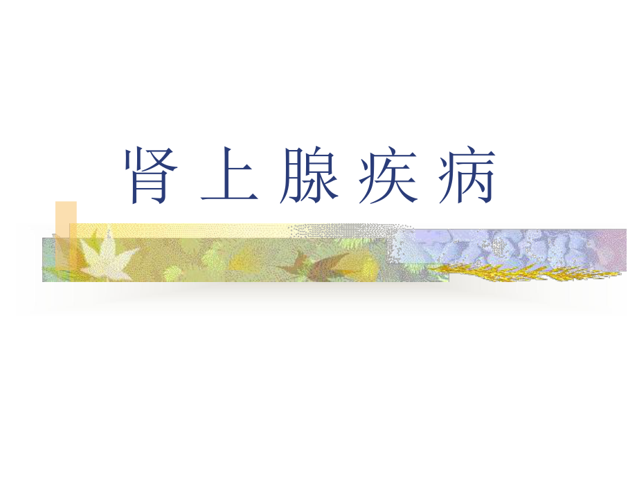 肾上腺疾病.ppt_第1页